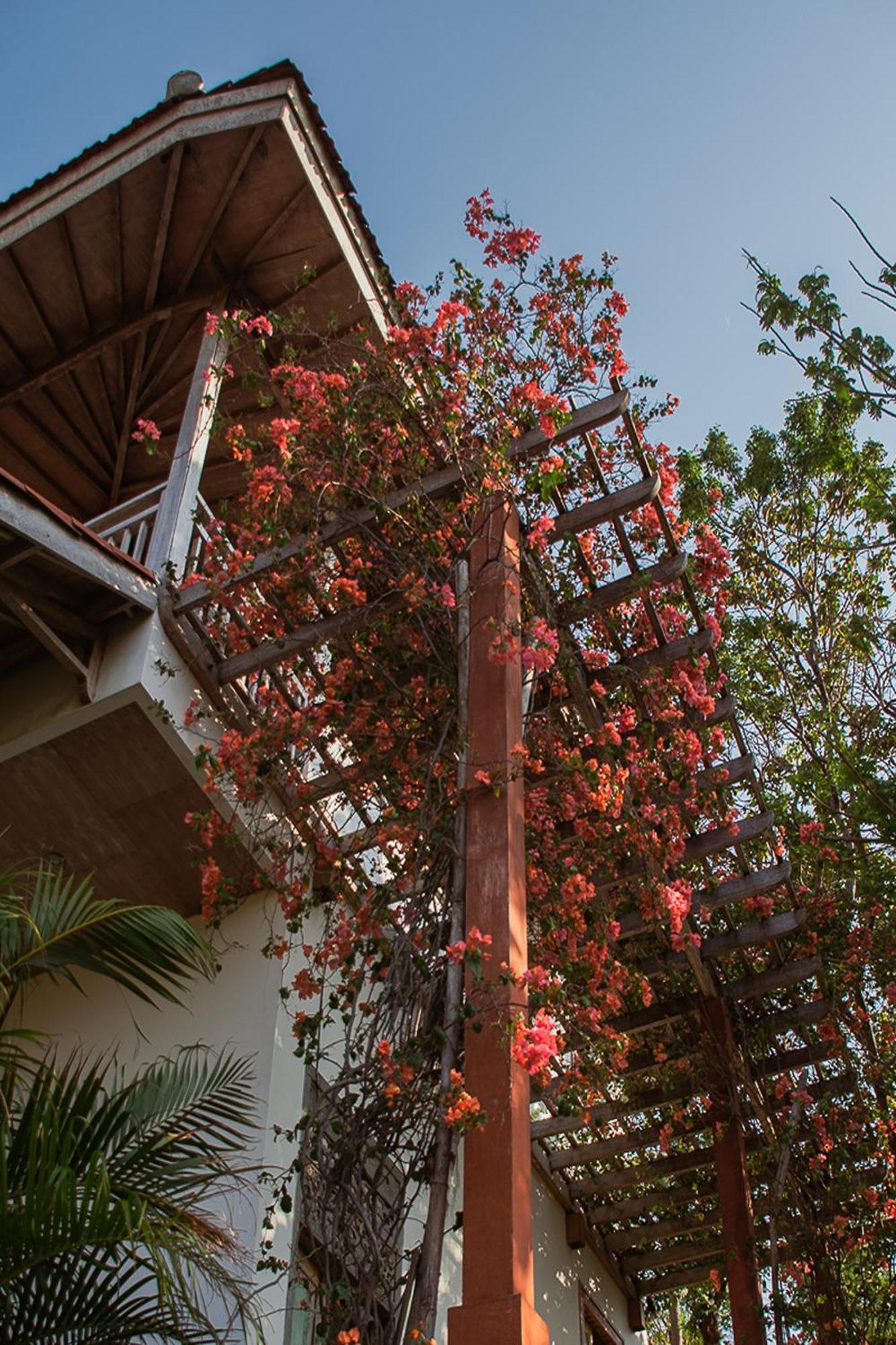 Bangsring Breeze Hotell Banyuwangi  Exteriör bild